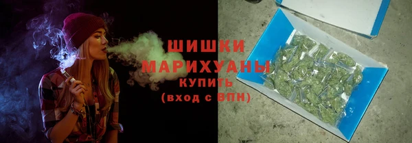 сатива Заволжье