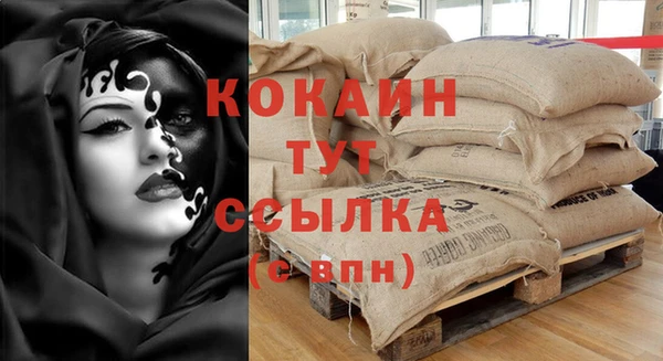 сатива Заволжье