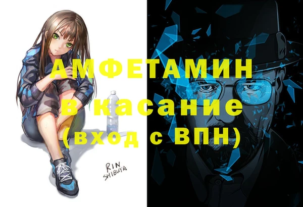 сатива Заволжье