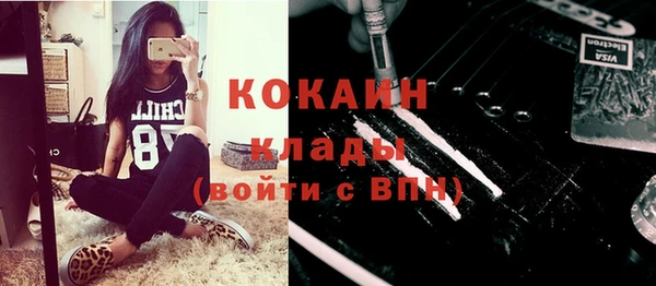 сатива Заволжье