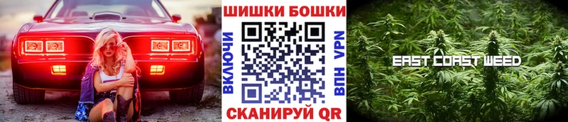 Бошки Шишки THC 21%  Купить закладки  Давлеканово 